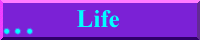 Life Banner